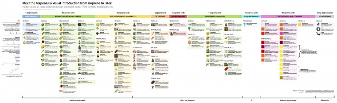 Table of terpenes-a-visual-introduction-from-isoprene-to-latex-200dpi