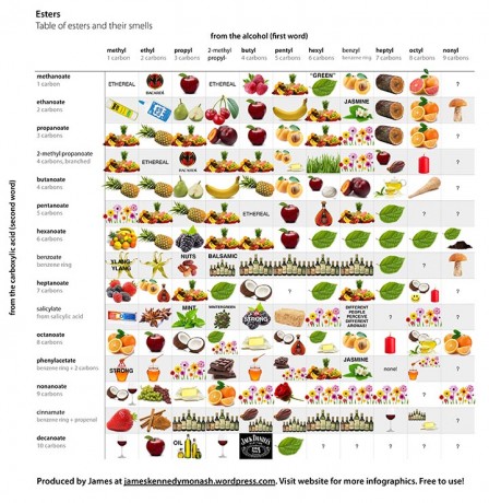 Perfumer’s Supply House Tools – Table of Esters and their Smells ...