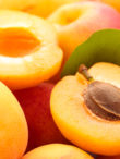 apricot-fruit-pictures apricot-fruit-pictures