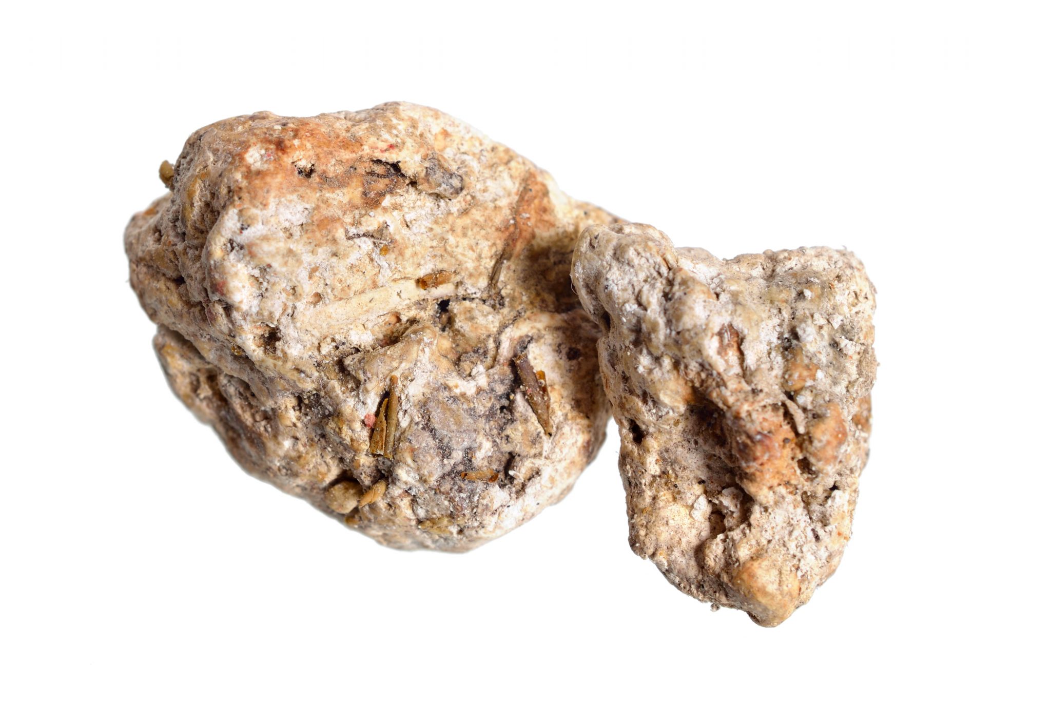 Китовая амбра. Природная амбра. Серая амбра это. Серая амбра это. Амбра в парфюмерии.