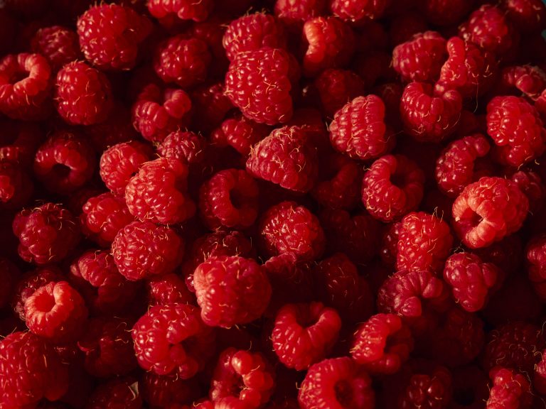 Raspberry Natural (Robertet) – fragrance only – Perfumer Supply House