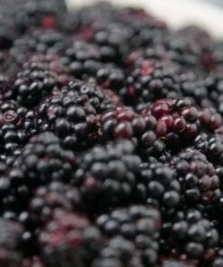 Blackberry Bliss (PK Perfumes)