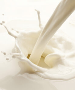 Mega Milk (PK Perfumes)